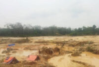 Kondisi lahan kebun Koperasi Tanjung Bungo di Desa Sungai Bengkal, Kecamatan Tebo Ilir, Kabupaten Tebo, yang rusak akibat ulah pelaku penambangan emas tanpa izin (PETI).