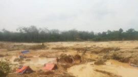 Kondisi lahan kebun Koperasi Tanjung Bungo di Desa Sungai Bengkal, Kecamatan Tebo Ilir, Kabupaten Tebo, yang rusak akibat ulah pelaku penambangan emas tanpa izin (PETI).