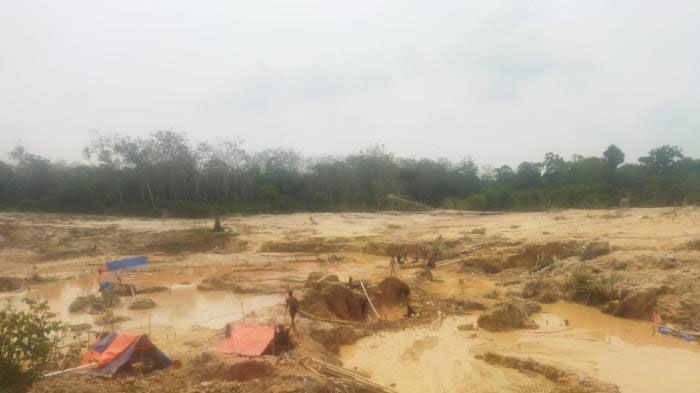 Kondisi lahan kebun Koperasi Tanjung Bungo di Desa Sungai Bengkal, Kecamatan Tebo Ilir, Kabupaten Tebo, yang rusak akibat ulah pelaku penambangan emas tanpa izin (PETI).