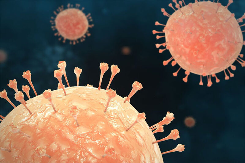 Ilustrasi virus. Apakah Hantavirus adalah penyakit baru?(Freepik/wirestock)

