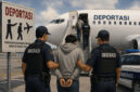 ilustrasi wna di deportasi