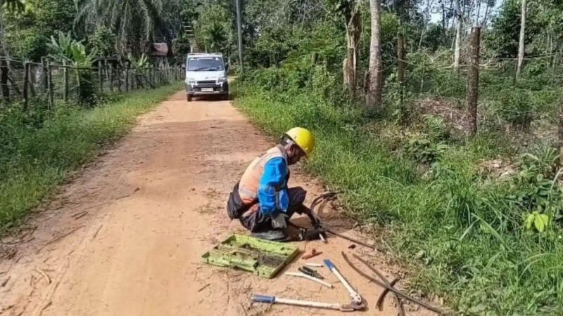Petugas PLN memperbaiki kabel utama di Mudung Darat Muaro Jambi, yang dicuri orang, Senin (15/6/2026). Ada tiga pencuri beraksi.
