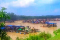 Wahana Lingkungan Hidup Indonesia Jambi mengungkap temuan adanya aktivitas tambang emas ilegal dalam skala besar di Desa Teluk Langkap.