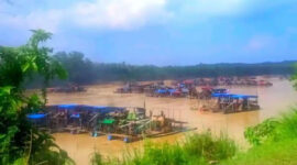 Wahana Lingkungan Hidup Indonesia Jambi mengungkap temuan adanya aktivitas tambang emas ilegal dalam skala besar di Desa Teluk Langkap. 