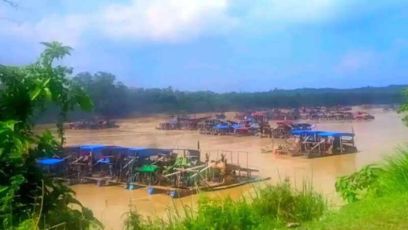 Wahana Lingkungan Hidup Indonesia Jambi mengungkap temuan adanya aktivitas tambang emas ilegal dalam skala besar di Desa Teluk Langkap. 