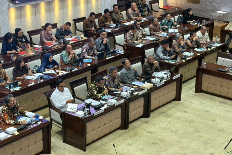 Wakil Ketua Umum Perbanas Nixon LP Napitupulu saat RDPU dengan Komisi XI DPR RI di Gedung DPR, Jakarta, Selasa (2/6/2026).(KOMPAS.com/ISNA RIFKA SRI RAHAYU)
