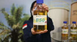 Ilustrasi B50.(esdm.go.id)