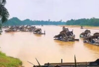 Rakit PETI Kabur saat dirazia di Tebo Jambi. Pemandangan luar biasa yang terekam kamera warga di Kabupaten Tebo, Jambi, mendadak viral dan menjadi perbincangan hangat netizen. 