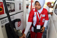 Biosolar B50(Pertamina)