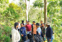Penangkapan dua tersangka penanam ganja di lokasi terpencil di Palembayan Kabupaten Agam, Sumatera Barat oleh personel TNI Unit Intel Kodim 0304/Agam, Selasa (14/7/2026). (Al Fatah)