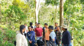 Penangkapan dua tersangka penanam ganja di lokasi terpencil di Palembayan Kabupaten Agam, Sumatera Barat oleh personel TNI Unit Intel Kodim 0304/Agam, Selasa (14/7/2026). (Al Fatah)