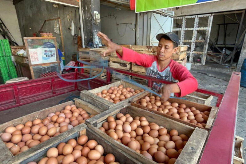 Pedagang kulakan telur di distributor Pasar Legi Solo, Senin (29/6/2026)(KOMPAS.COM/ADINDA BUNGA KUSUMA WARDANI)