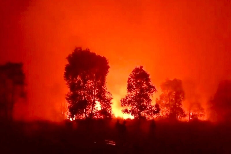 Tangkapan layar suasana kebakaran di Taman Nasional Way Kambas (TNWK), Jum'at (21/8/2026) malam(Istimewa )
