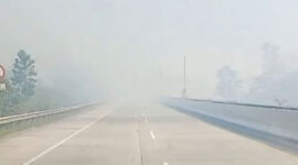 Asap Tebal akibat Kebakaran hutan dan lahan (karhutla) kembali terjadi di sepanjang ruas Tol Balikpapan-Samarinda, Kalimantan Timur.(Dok. Damkar Kukar)
