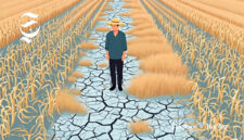 ilustrasi petani gagal