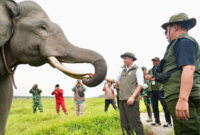 Menteri Kehutanan (Menhut) Raja Juli Antoni di Pusat Konservasi Gajah (PKG) Suaka Margasatwa Padang Sugihan, Sumatera Selatan, Kamis (17/9/2026)(Kemenhut RI)
