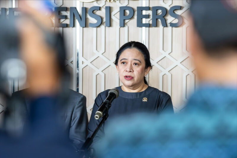 Ketua DPR RI Puan Maharani dalam sebuah kesempatan.(DOK. Istimewa)

