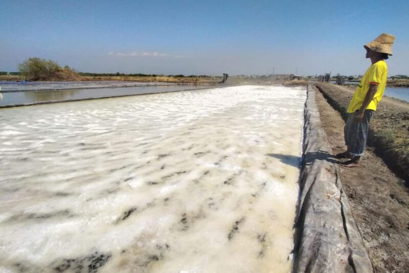 Petani garam asal Kota Pasuruan Jawa Timur mengalami mengalami penurunan produksi selama kurun waktu 2 tahun terakhir akibat anomali cuaca, Selasa (13/1/2026). (Kompas.com/MOH.ANAS)
