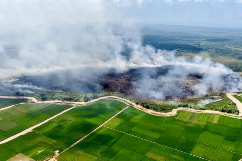 Kebakaran lahan di Taman Nasional Way Kambas beberapa waktu lalu(Dok. Foto Drone Pemprov Lampung )
