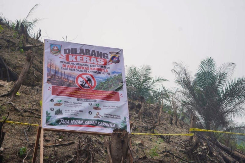 Polisi pasang garis polisi dan papan peringatan pasca penanaman sawit di lahan bekas karhutla Dharmasraya, Jumat (16/10/2026).(Rahmat Panji (Kompas.com))

